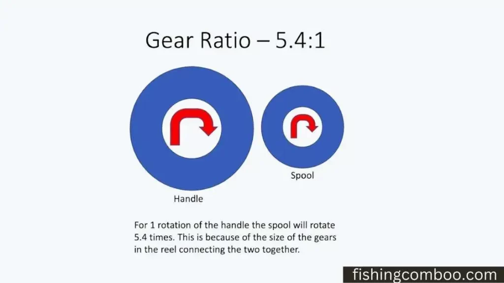 fishing reel gear ratio