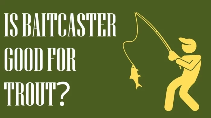 Is Baitcaster Good For Trout